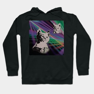 Cat on We Have Lasers Hoodie